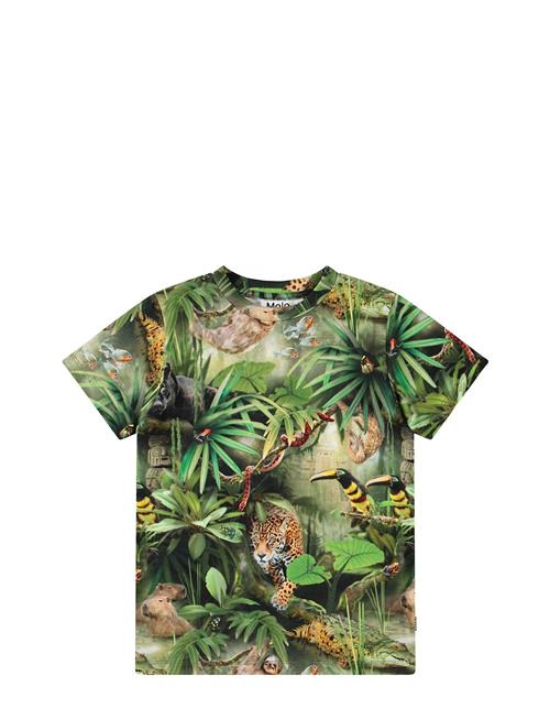 Ralphie Molo Green