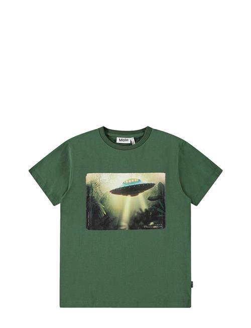 Riley Molo Green