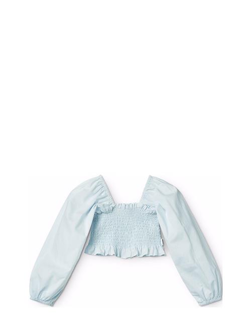 Rosemary Molo Blue