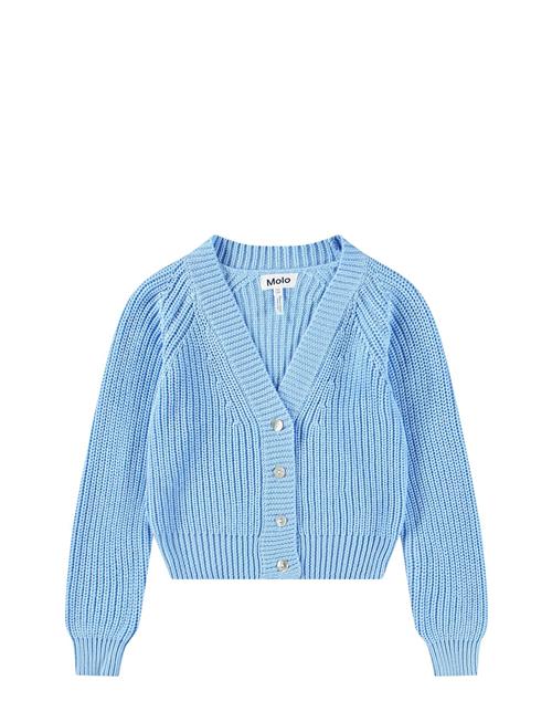 Gilberta Molo Blue