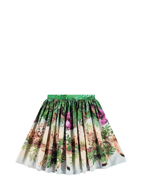 Bonnie Molo Green