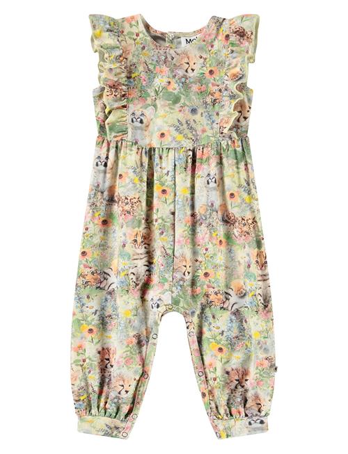 Fallon Molo Green