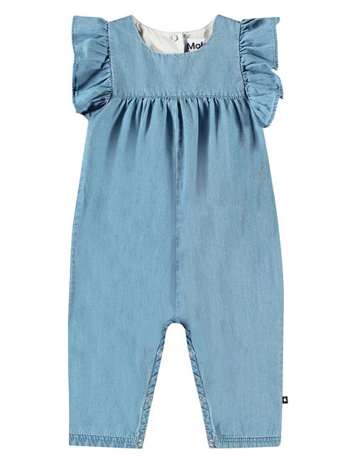 Fifi Molo Blue