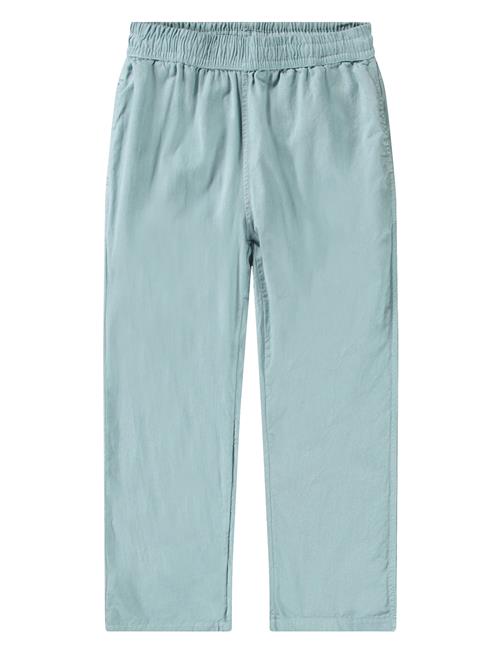 Aster Molo Blue