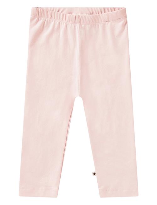 Nette Solid Molo Pink
