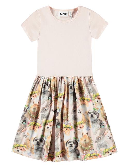 Cissa Molo Cream