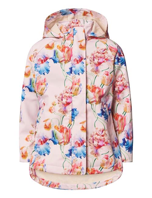 Hillary Molo Pink
