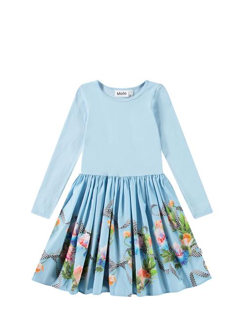 Casie Molo Blue