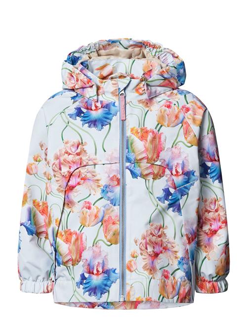 Hoplas Molo Blue
