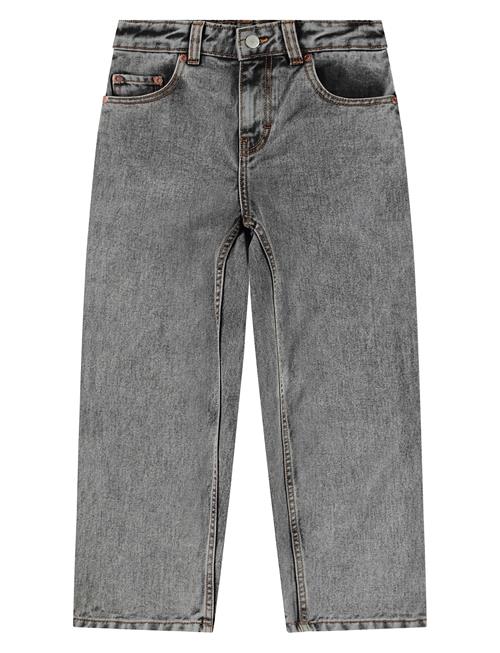 Aiden Molo Grey