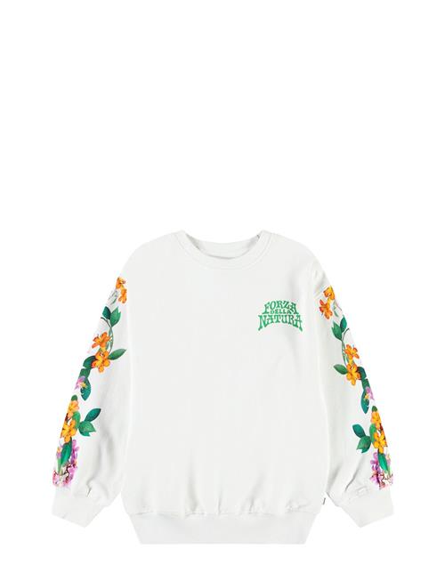 Monti Molo White