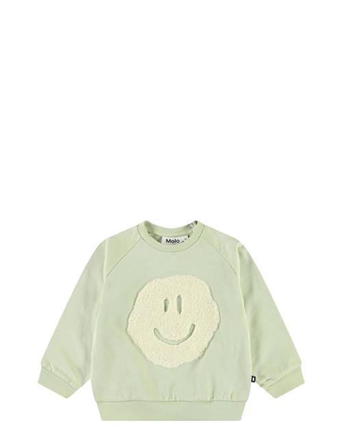 Disc Molo Green