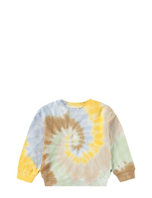 Dear Molo Blue