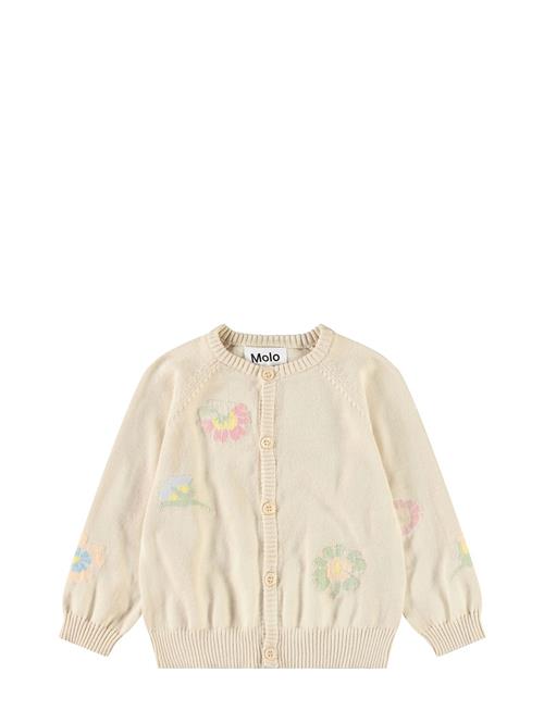 Brody Molo Cream