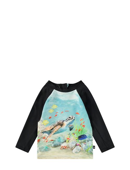 Nemo Molo Blue
