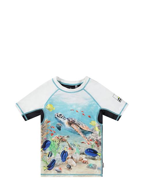 Neptune Molo Blue