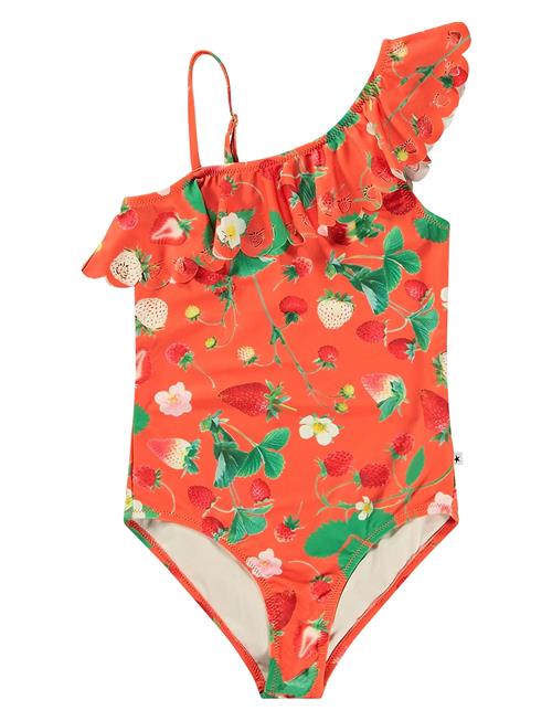 Net Molo Red