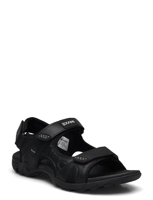 Spider Pro M Exani Black