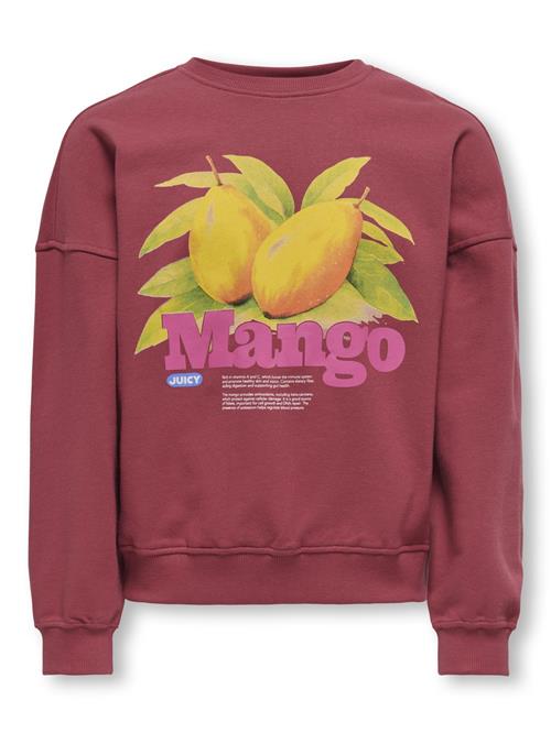 ONLY GIRLS Sweatshirt 'KOGPHILEA'  citron / vinrød / rødviolet / hvid