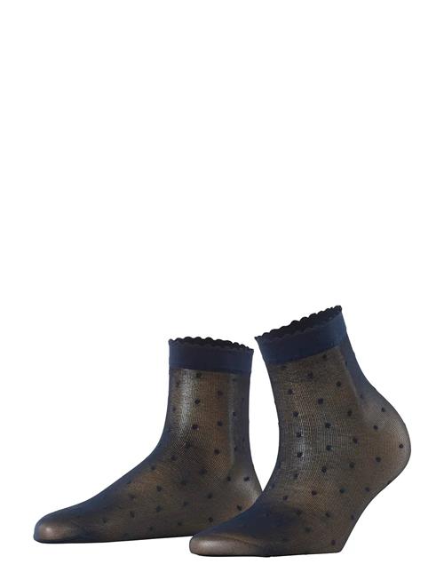 Dot 15 Denier Transparent Matt Falke Women Brown