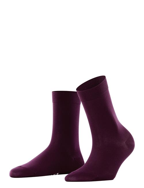 Cotton Touch Business & Casual Falke Women Purple