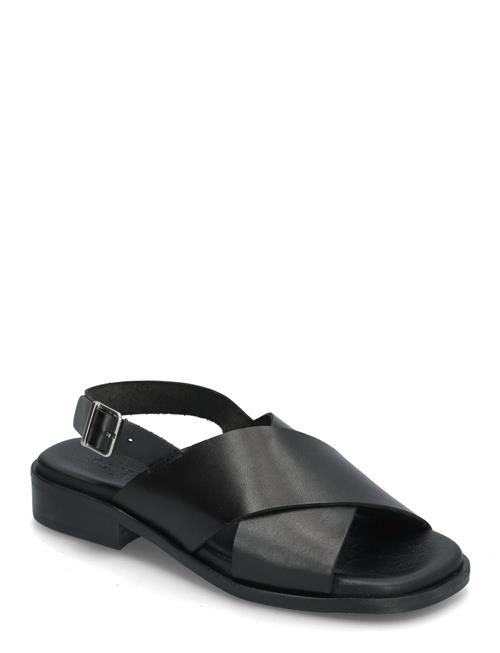 Carly Pavement Black