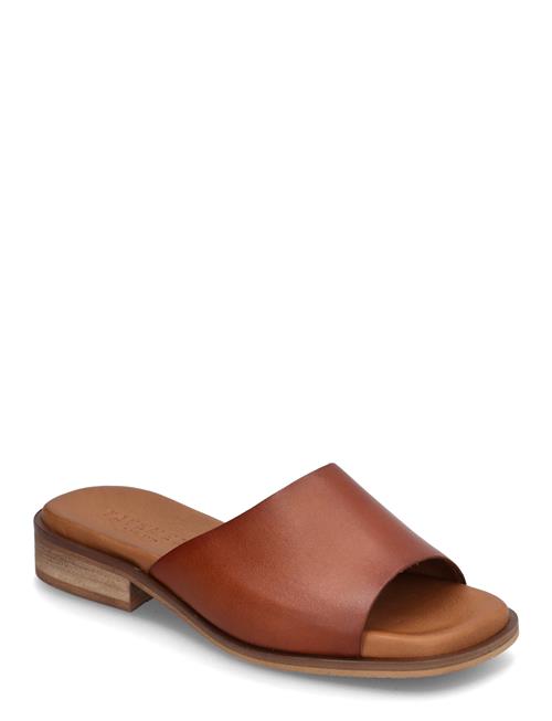 Cian Pavement Brown