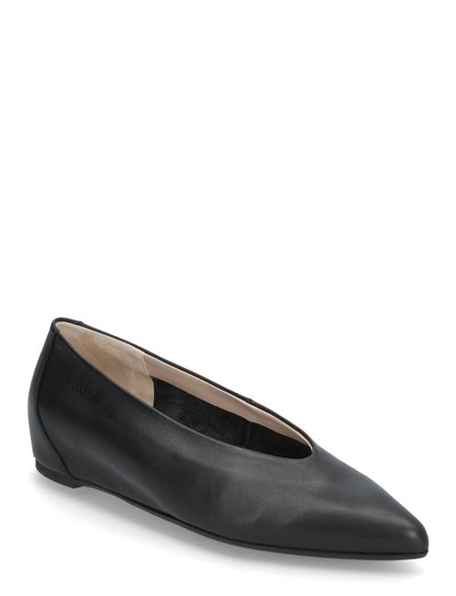 Triana Wonders Black