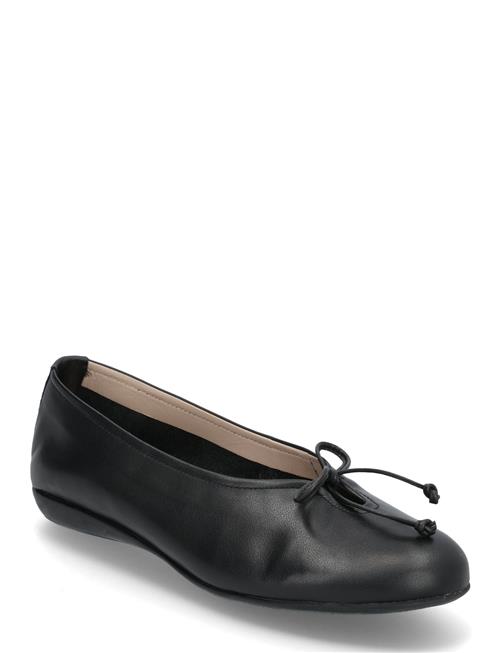Celestina Wonders Black
