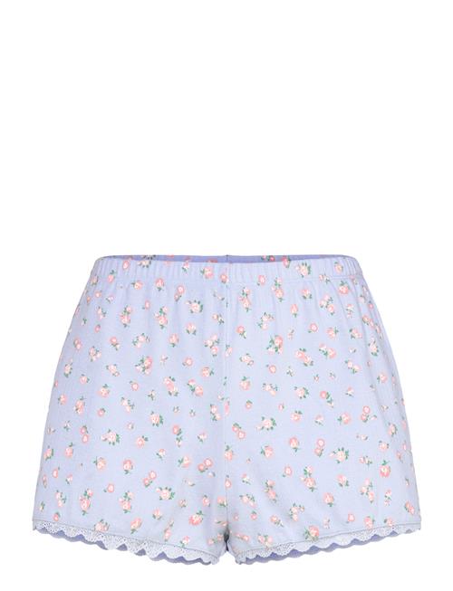 Short Pointelle Lace Flower Hunkemöller Blue