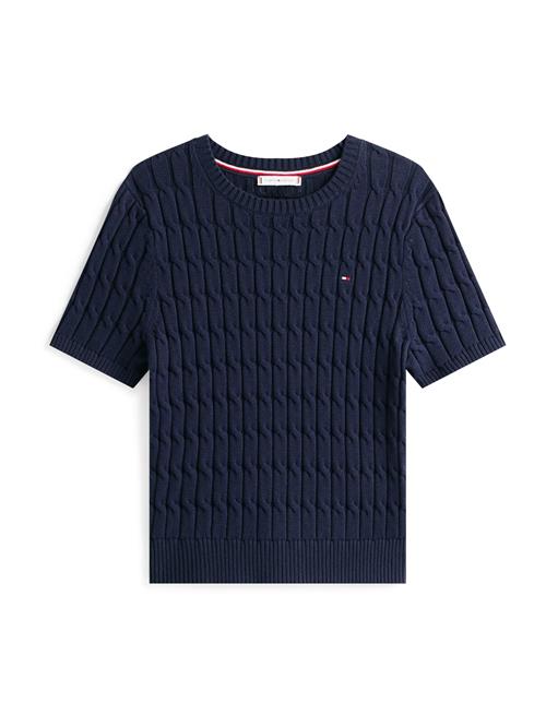 TOMMY HILFIGER Pullover  navy
