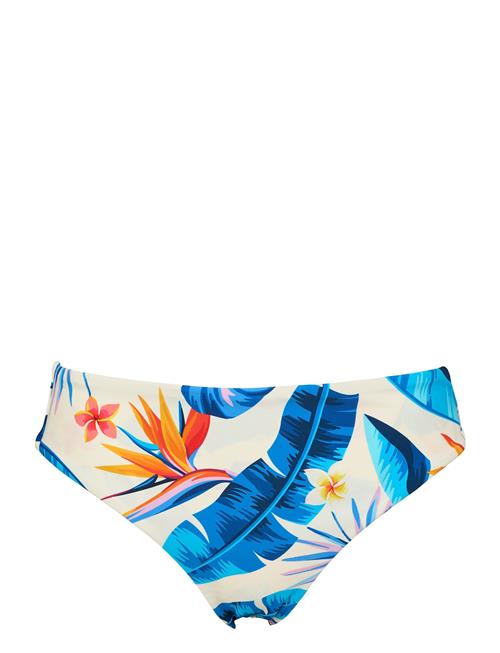 Lucca Tai Missya Blue