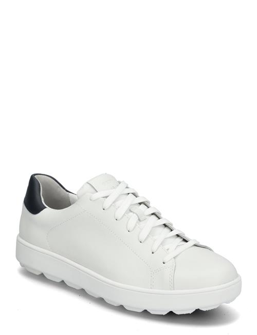 U Spherica Ecub-1 A GEOX White