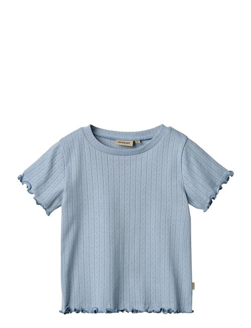 Rib T-Shirt S/S Irene Wheat Blue