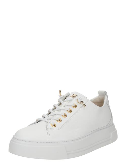 Paul Green Sneaker low  hvid