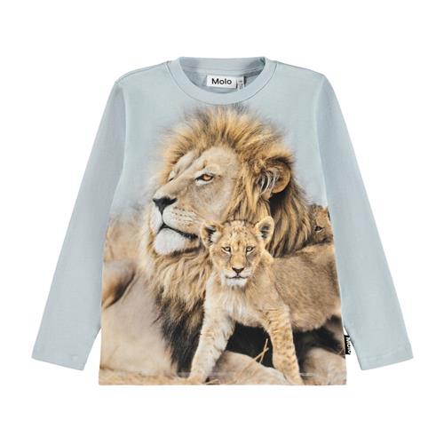 Molo Reif Langærmet T-shirt Lion Family | Blå | 116 cm