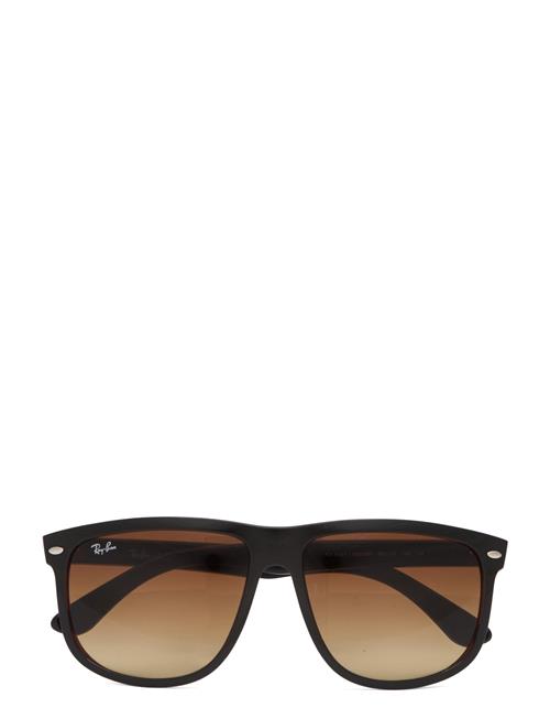 Boyfriend Ray-Ban Brown