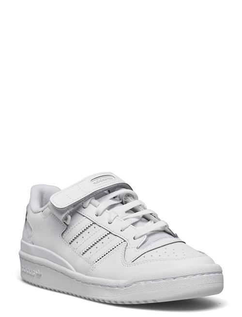 Forum Low Adidas Originals White