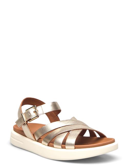 D Xand 2S B GEOX Gold