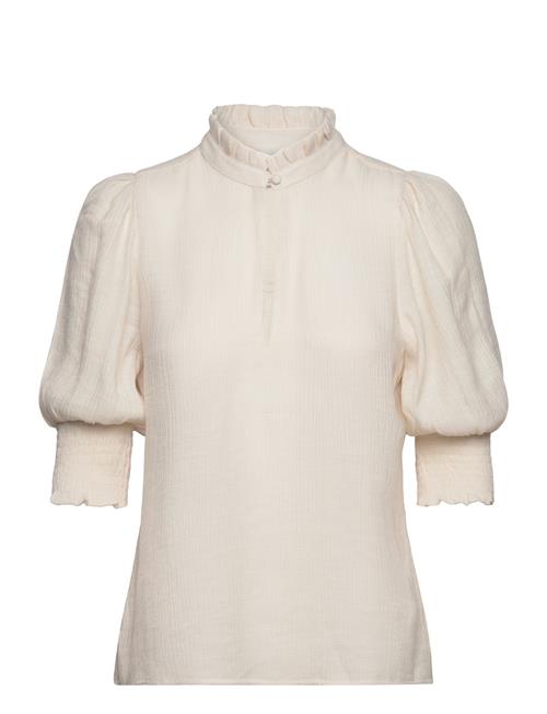 Feline Top Dante6 Cream