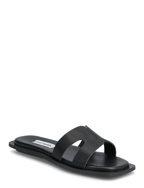 Sofia Steve Madden Black