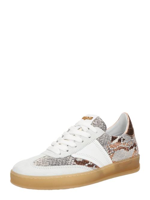 MJUS Sneaker low 'GENOVA'  beige / brun / grå / hvid