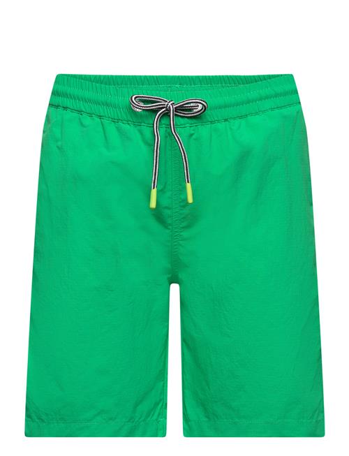 Nilson Solid Molo Green