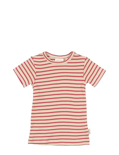 T-Shirt S/S Modal Striped Petit Piao Red