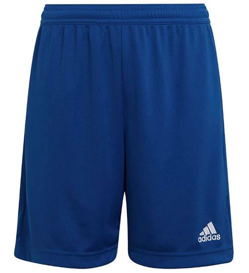 Se adidas Performance Shorts - Blå/Hvid ved KidsWorld