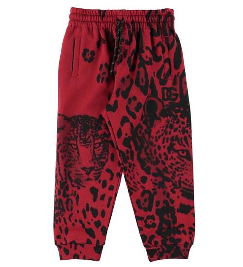 Dolce & Gabbana Sweatpants - Animalier - Rød Leo