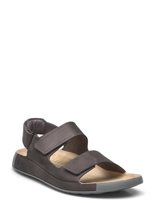 Cozmo M ECCO Brown