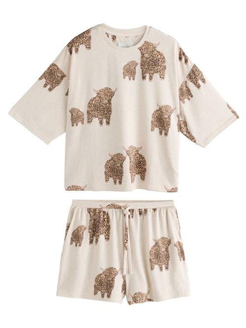 Next Shorty  beige / ecru / brun