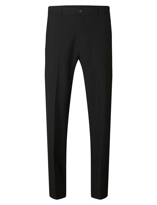 Slh220-Loose Robert Flex Pant Selected Homme Black