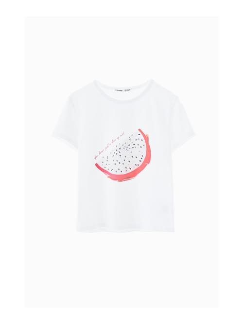 Pull&Bear Shirts  mørk pink / rød / sort / hvid